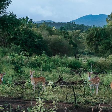 Lakegala Resort Matale Eksteriør billede